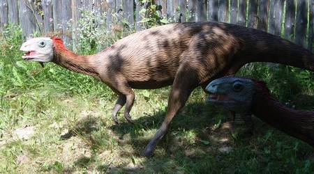 JuraPark Bałtów – Polska