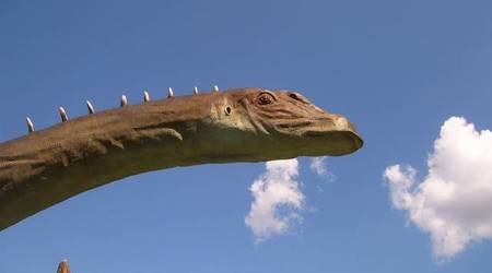 JuraPark Bałtów – Polska