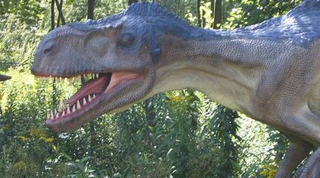 JuraPark Bałtów – Polska