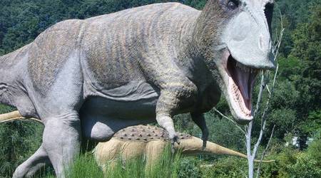 JuraPark Bałtów – Polska