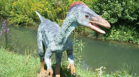 JuraPark Bałtów – Polska