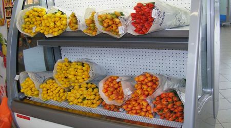 tulipanki w lodówce :) – Amsterdam, Holandia