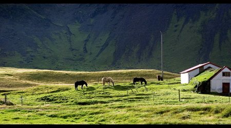 Islandia