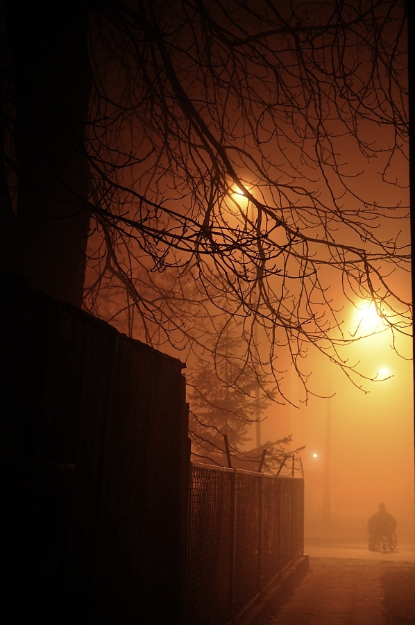 Fog