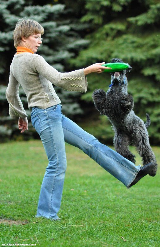 Słowacja,Male Karpaty,  Latający pies.