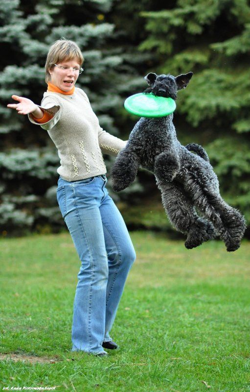 Słowacja,Male Karpaty,  Latający pies.