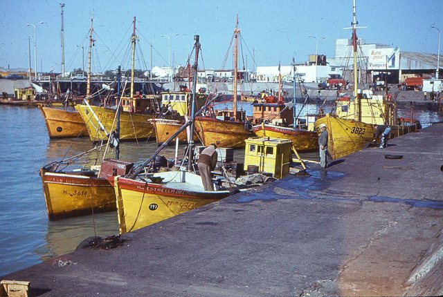 Port rybacki w Mar del Plata