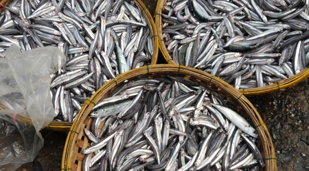 Hoi An – Hội An, Wietnam