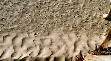 Sahara z kawałkiem  mojego  wielbłąda na dole  po  prawej – Tunezja