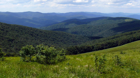 Bieszczady x – Polska