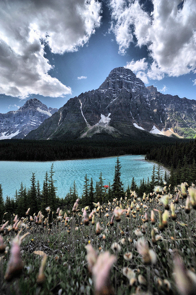 BANFF NATIONAL PARK - ROUTE 93