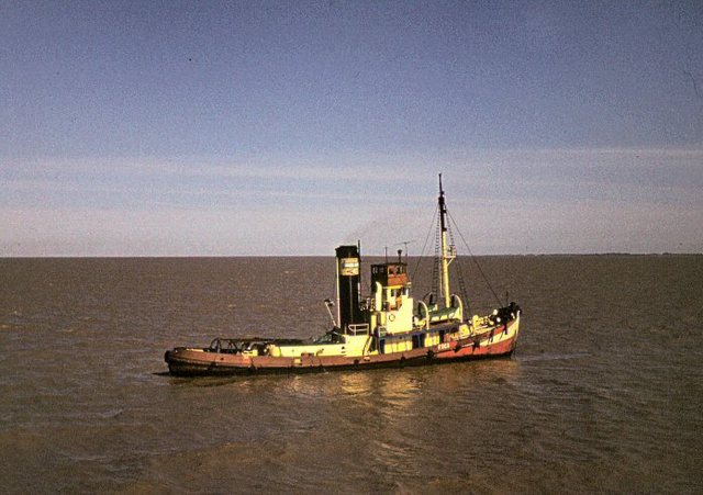 Holownik  na  czekoladowej  Rio de  la  Plata