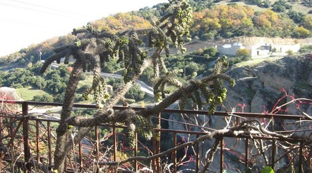 Kaktus – Grecja