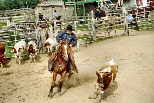 Ścięgny  k  Karpacza - rodeo - Jurek Pokój - animator Western City