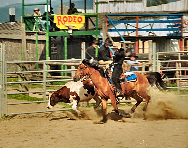 Ścięgny  k  Karpacza - Ale  dziewucha!