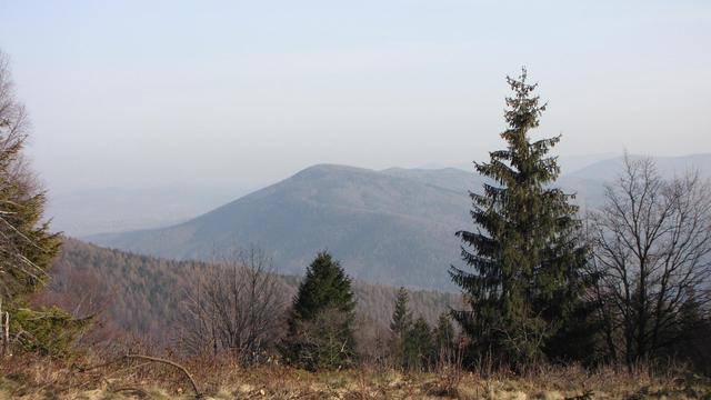 Widok na Beskid Mały