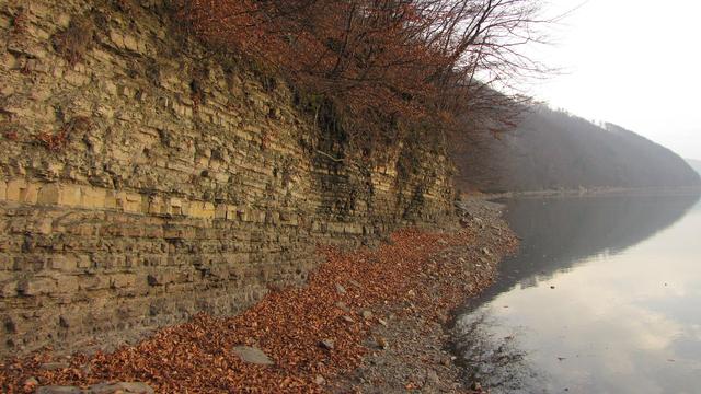 Flisz karpacki! Płaszczowina śląska!