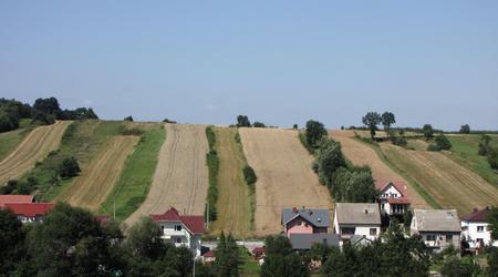 Wieś. Łany. – Łazy, Polska