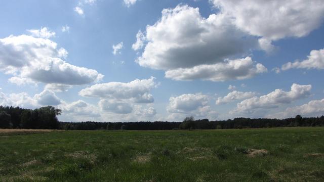 Nida - łąka zalewowa