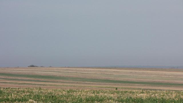 Płasko