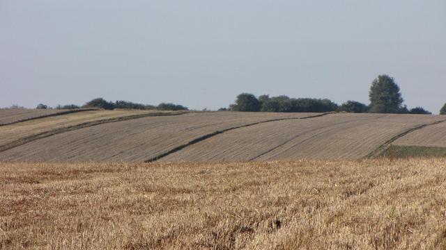 Łany