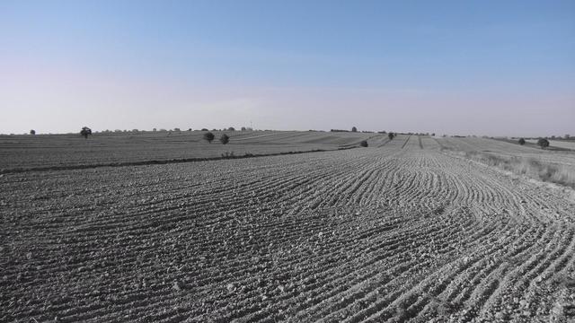 Zaorali pole