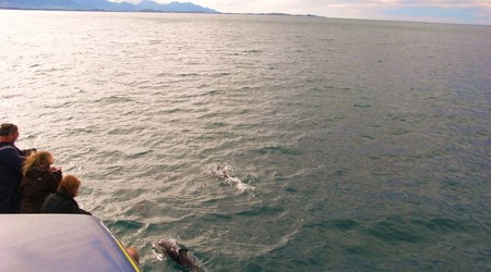 Rimg1361 – Kaikoura, Nowa Zelandia