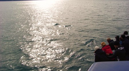 Rimg1370 – Kaikoura, Nowa Zelandia