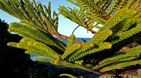 Kaikura2 – Kaikoura, Nowa Zelandia