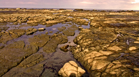 Glony4 – Kaikoura, Nowa Zelandia