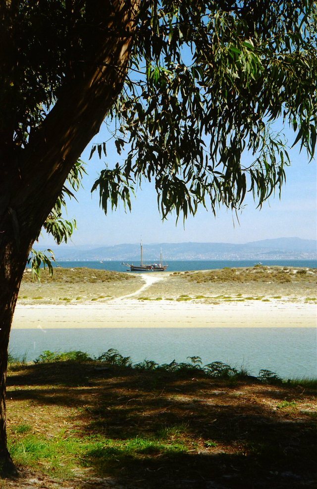 Islas Cies. Zupełnie  Karaiby