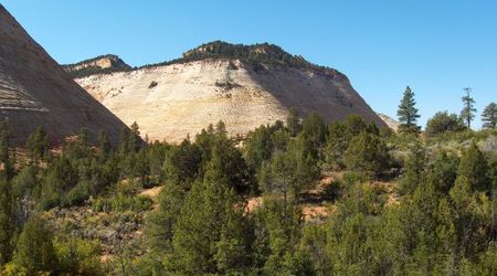 Zion National Park, Utah – Stany Zjednoczone Ameryki