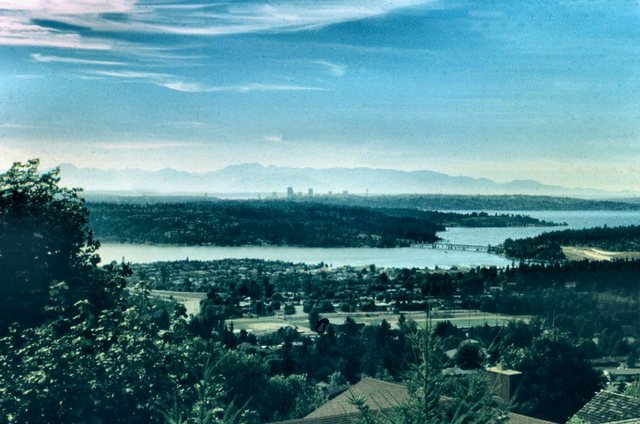 Widok  Seattle  z Bellevue - osiedla satelity