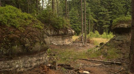 Skalne grzyby w całej okazałości – Batorów (osiedle szczytnej), Polska