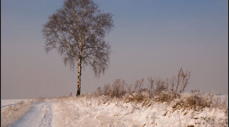 pejzaż – Polska