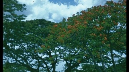 Manila – Filipiny
