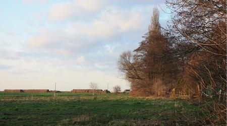 Późna jesień – Luboń, Polska