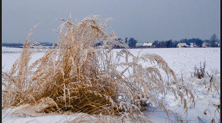 Pejzaż – Polska