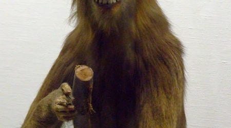 Muzeum ewolucji – Bolonia, Włochy