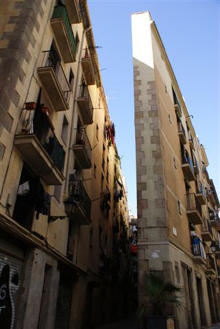Dsc01825