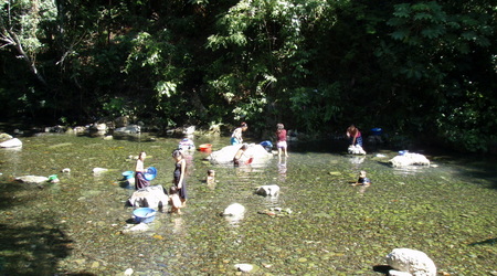 Rzeka przy wodospadach – Rio dulce, Gwatemala