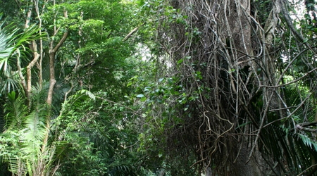 Belize - Lamanai