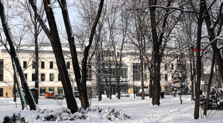 Radom zima 2009/2010 – Polska