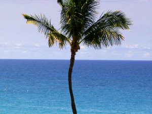 Big Island (Hawaii)