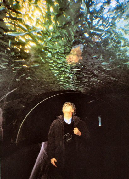 San Sebastian - Muzeum Oceanograficzne - akwarium  ze  wszystkich  stron