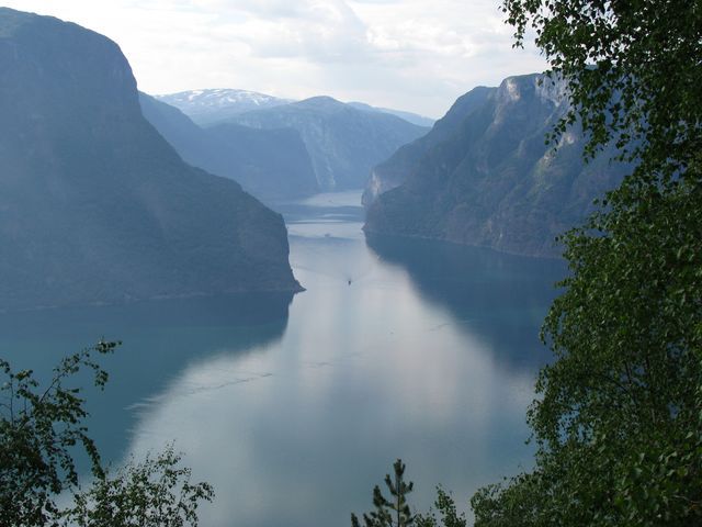 Widok na fiord