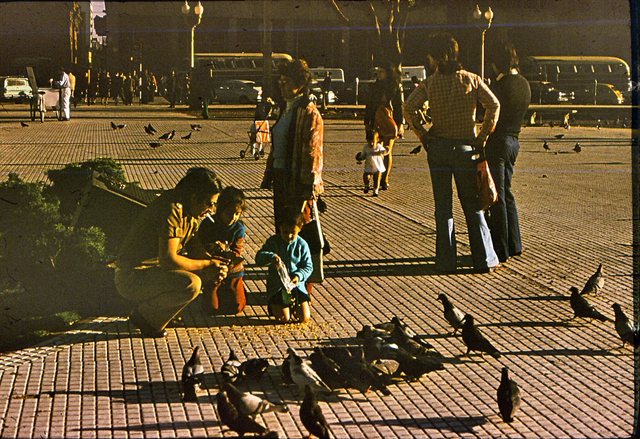 Bs.As - sielanka  na  Plaza de Mayo