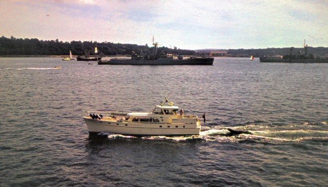 Southampton - operation  sail - obstawa