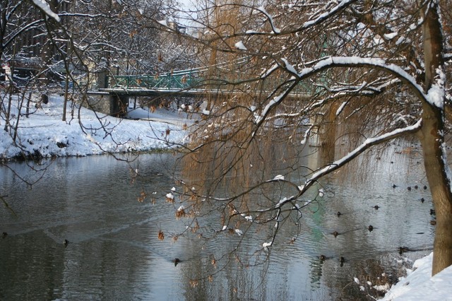 Nad Młynówką