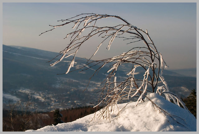 pejzaż zimowy 